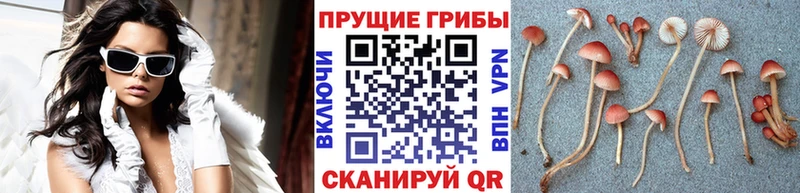 Псилоцибиновые грибы ЛСД  Салават 