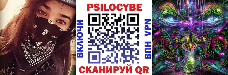 Галлюциногенные грибы Psilocybine cubensis Салават