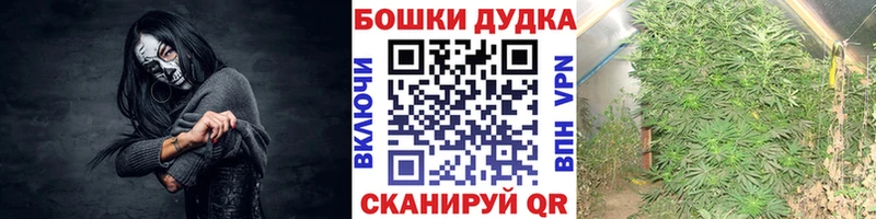 сколько стоит  Салават  Конопля AK-47 